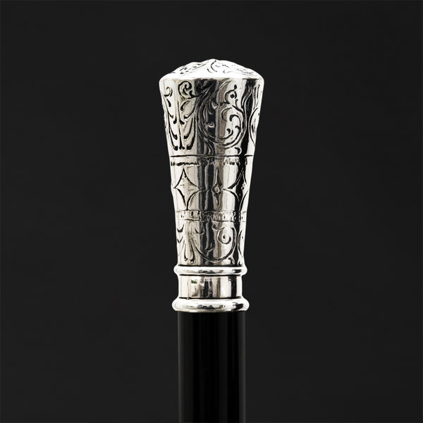 silver dress canes CANES