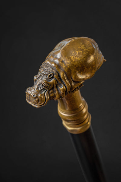 Unusual Walking Stick Comfortable Brass Handle, Inspired by Nature