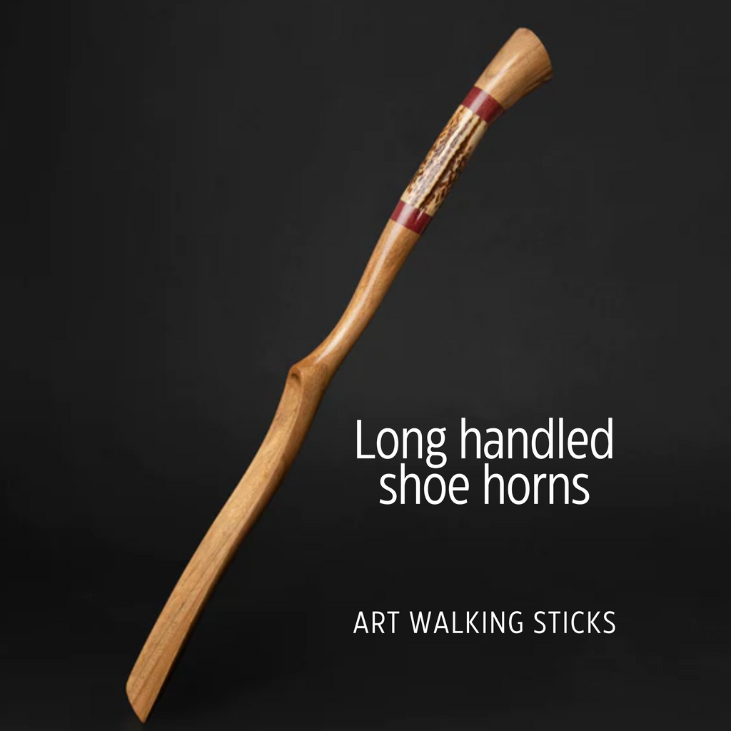 Shoe horn on a 2025 stick