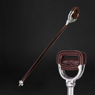 Chair and Seat Walking Sticks