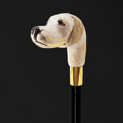 Modern walking canes with premium craftsmanship