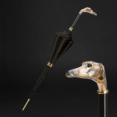 Stylish color options for women's umbrella