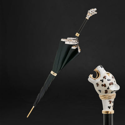 Unique transparent canopy women's umbrella