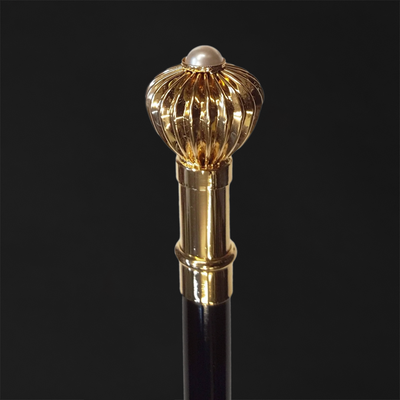 Modern walking canes with luxurious materials