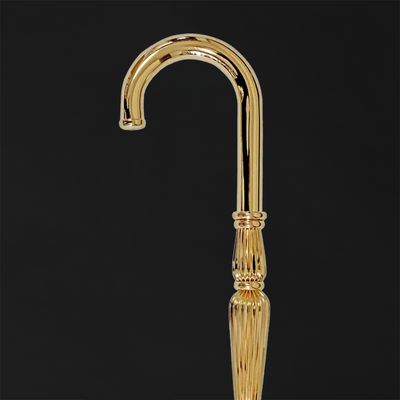 Walking sticks with sleek modern designs