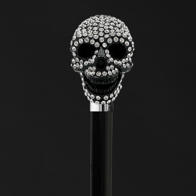 Premium walking canes with modern flair