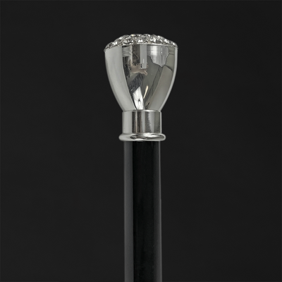 Walking canes with modern art styles