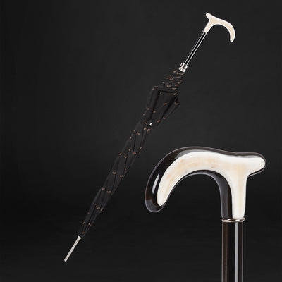 Fashionable paisley umbrella with horn handle