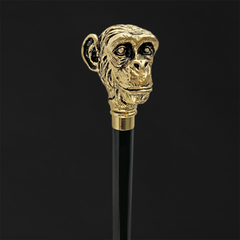 4_2400x2400_dbb9020c-2309-4c8e