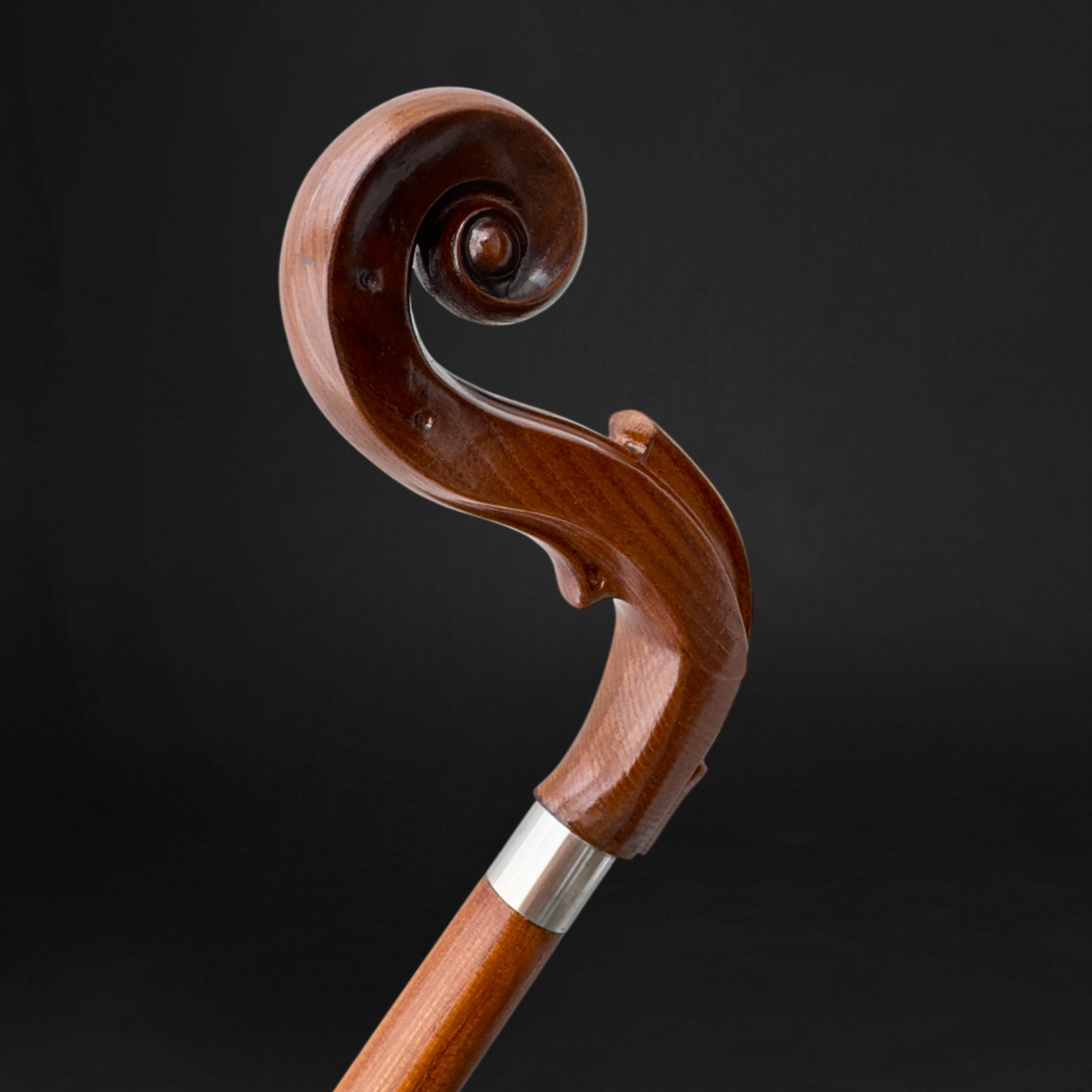 Violin-Inspired Walking Cane – Designed for Music Lovers | ART WALKING ...