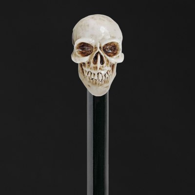 Modern walking sticks with luxury finishes