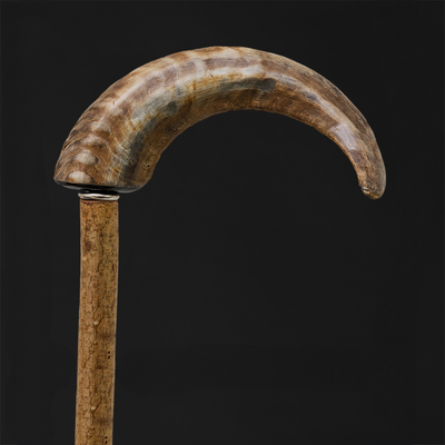 Wild Boar Tusk Walking Cane For Men, Exquisite Exclusive Cane