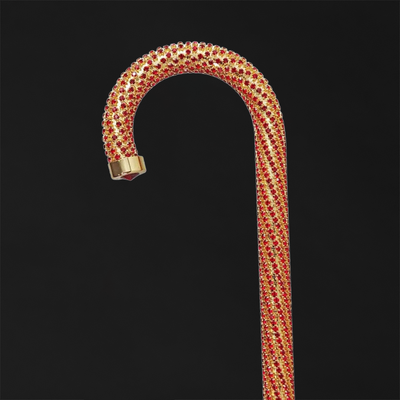 Walking sticks with nature-inspired designs