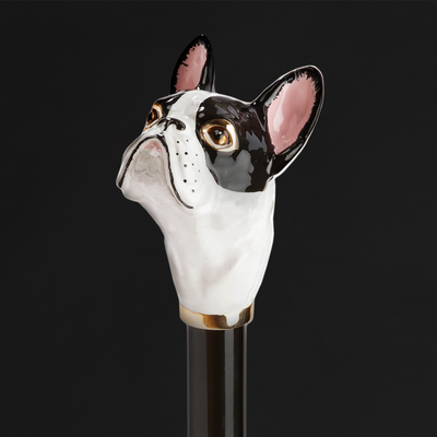 walking stick for old age