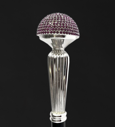 Luxurious Collectible Walking Sticks