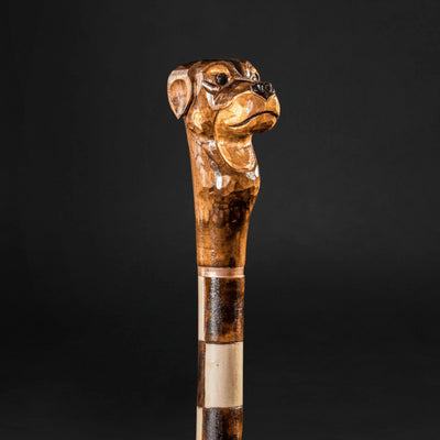 Dog Walking Canel, Handle Canes