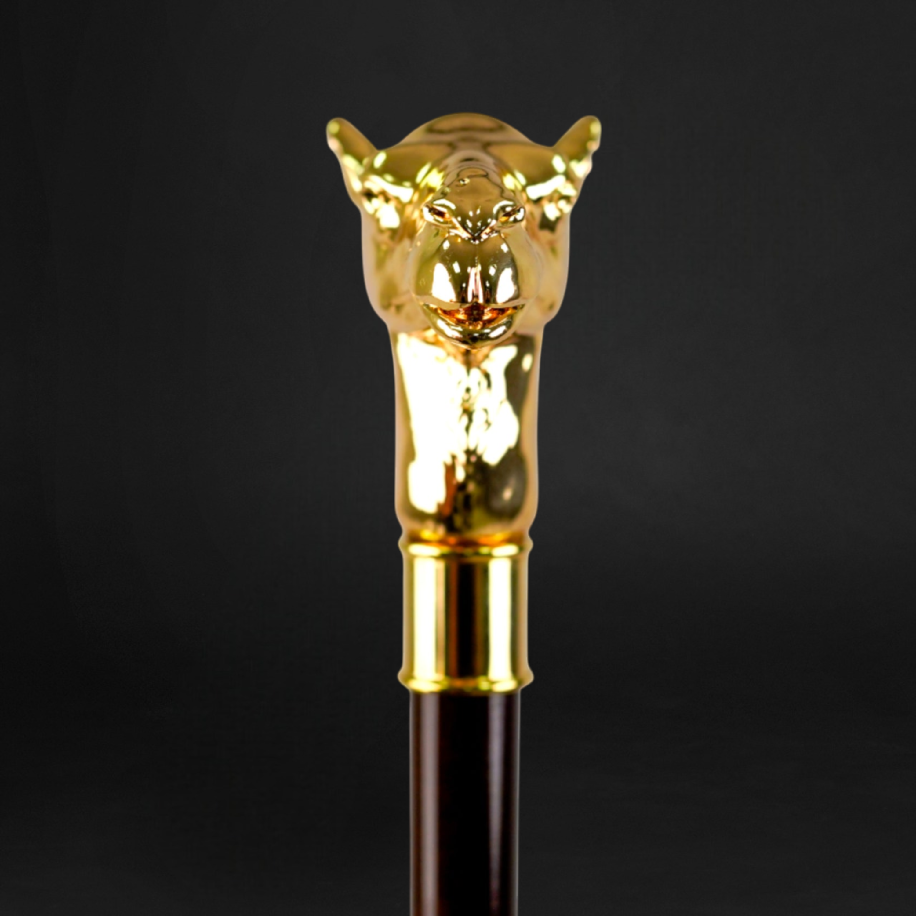 Premium Walking Stick with Gold-Plated Camel Handle