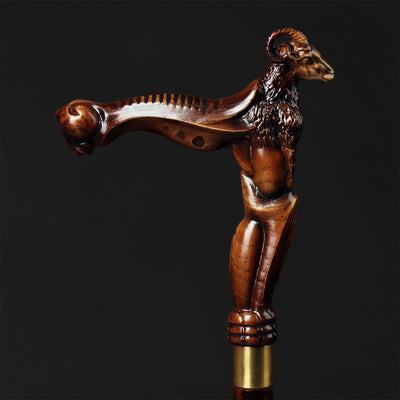 Сool Walking cane for a man