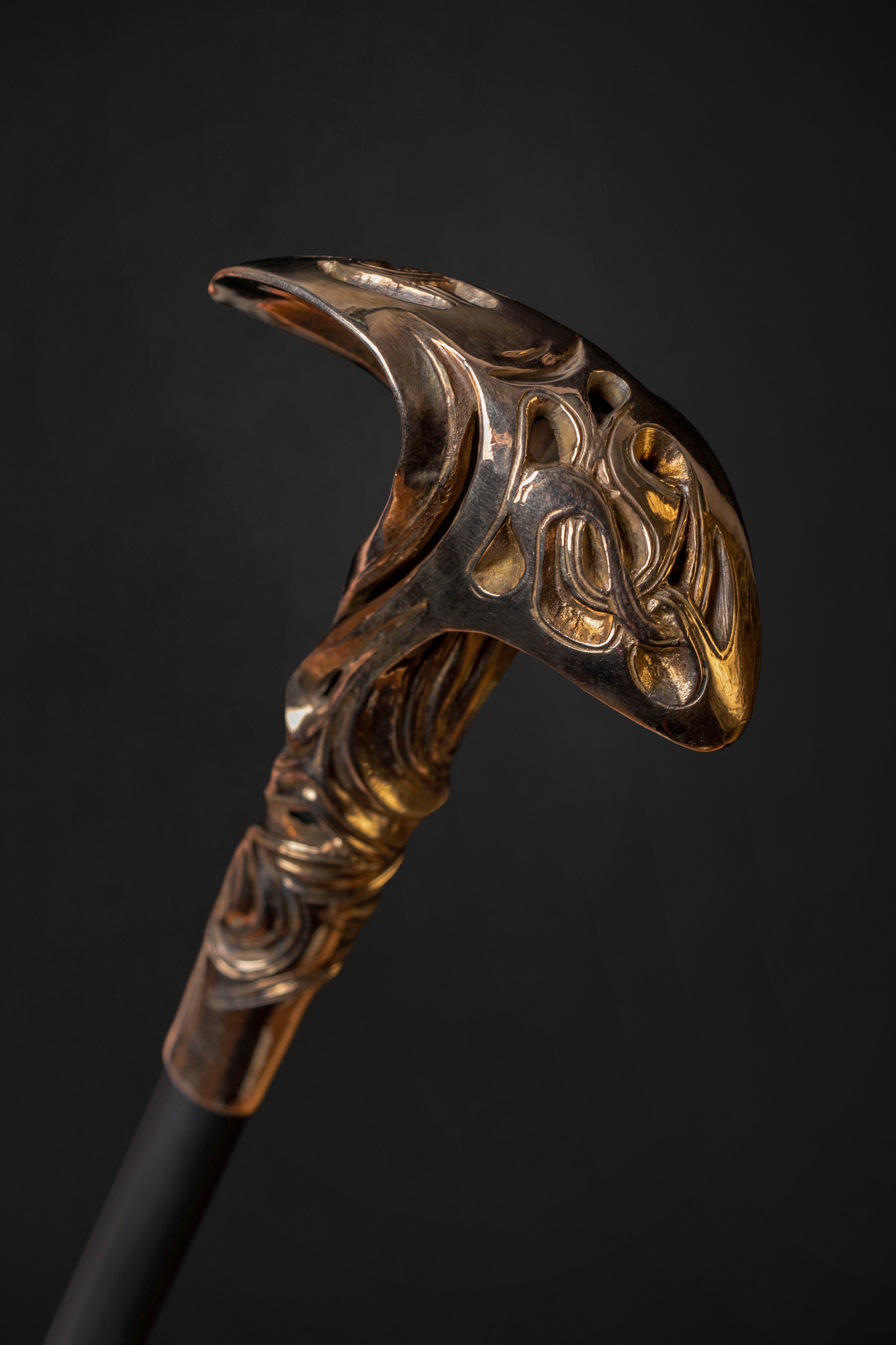 Unusual Walking Stick Comfortable Brass Handle, Inspired by Nature