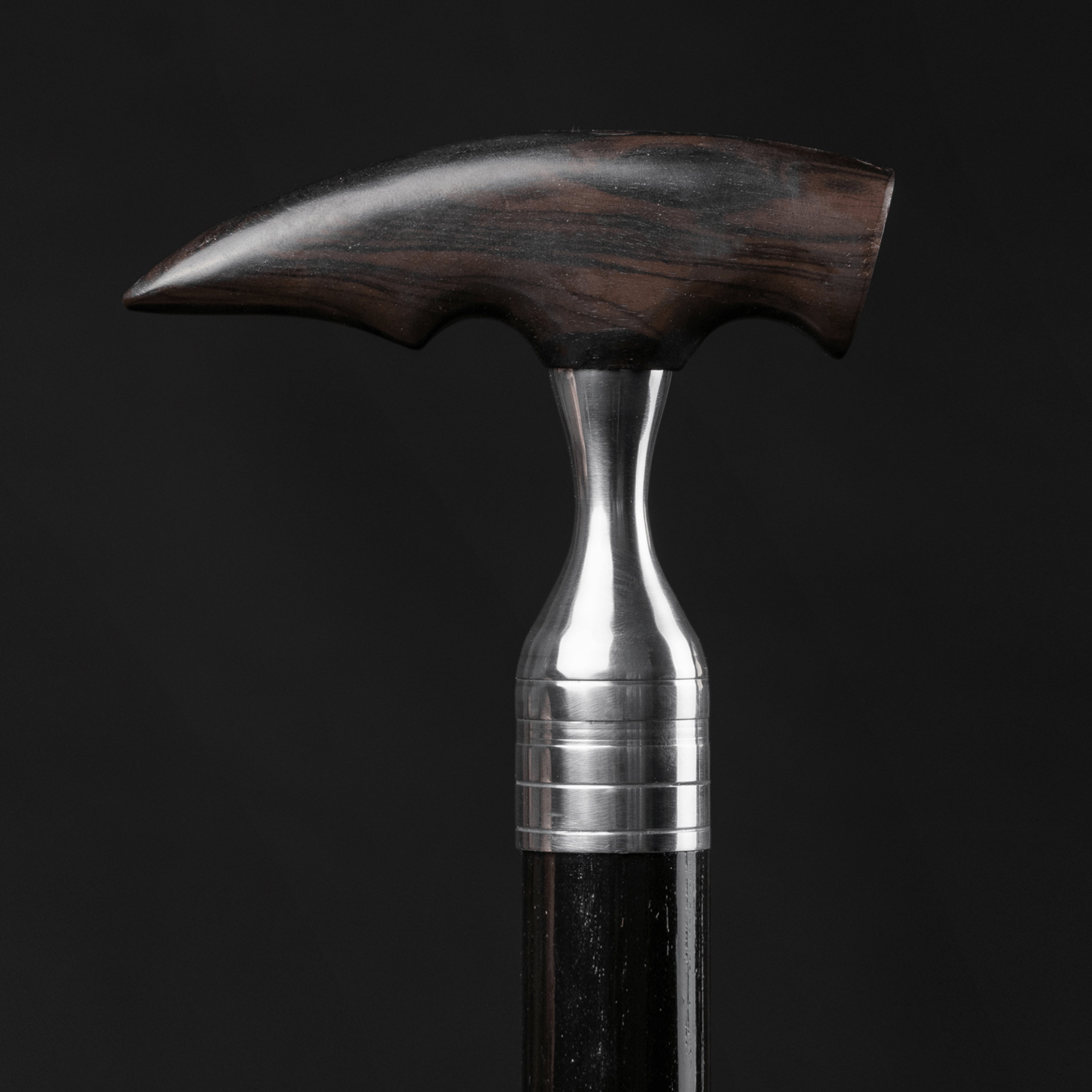 Ergonomic Walking Stick With Hidden Features, Ebony Wood | ART WALKING ...