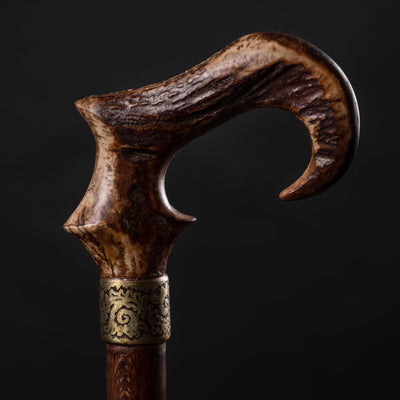 Ram's Horn Walking Stick