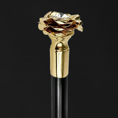 Walking canes with sophisticated designs