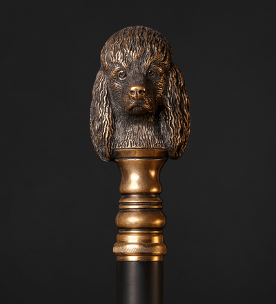 Luxurious walking stick